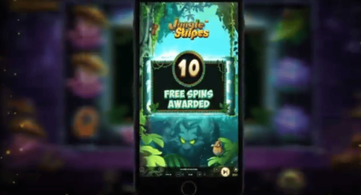 Jungle stripes strategy